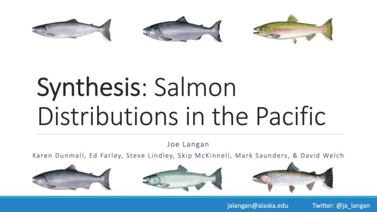Atlantic Salmon vs Pacific Salmon: Regional Variations in Salmon Species