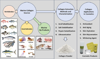 Does Cod Have Bones: Exploring the Bone Structure of Cod