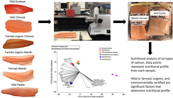 Potassium in Salmon: Nutritional Insights into Salmon