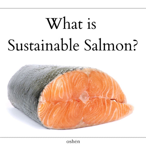 Why Is Salmon So Expensive: Exploring Factors Behind the Cost of Salmon