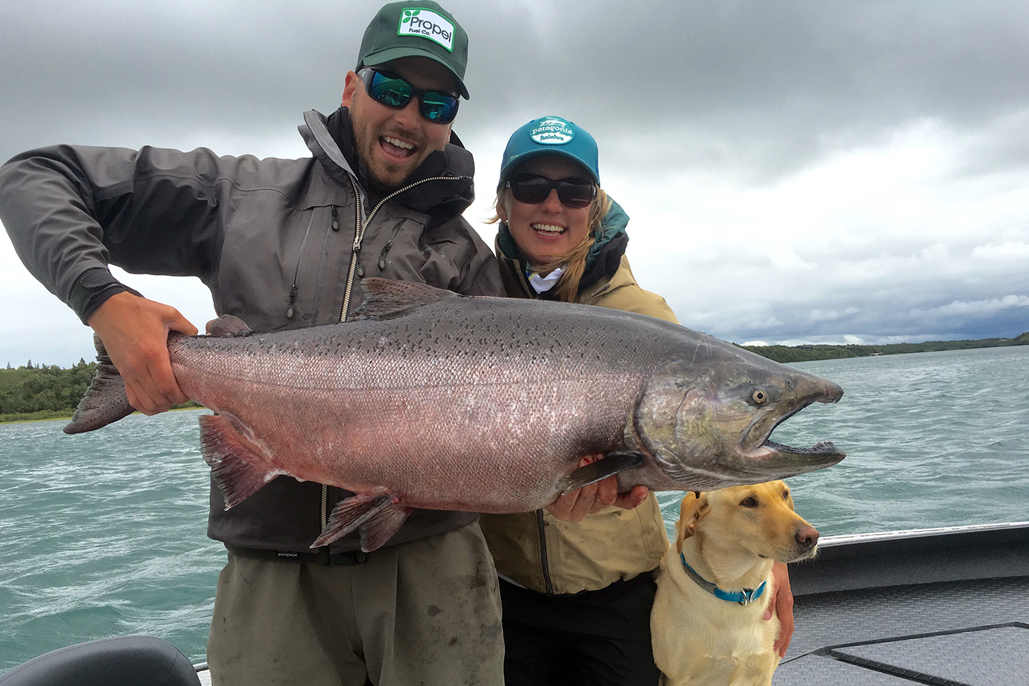 Arctic Char vs Salmon: Contrasting Two Cold-Water Fish Varieties