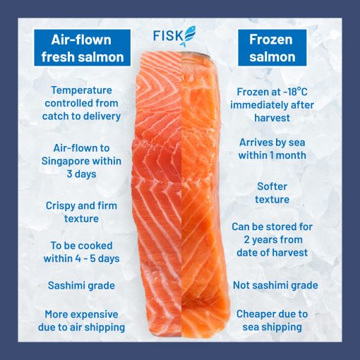 Can Salmon Be Frozen: Freezing Salmon for Long-Term Storage