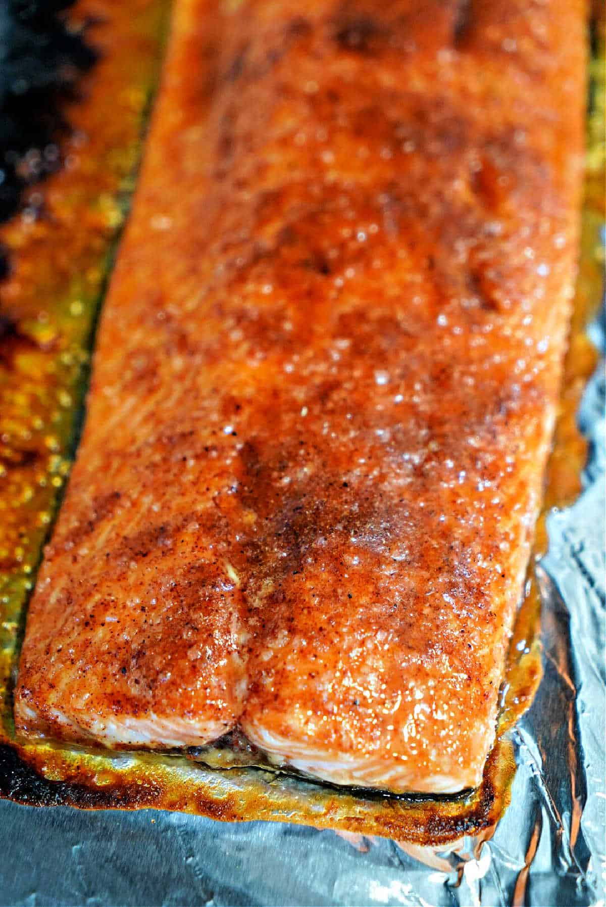 Salmon in Toaster Oven Baked: Baking Salmon in a Toaster Oven