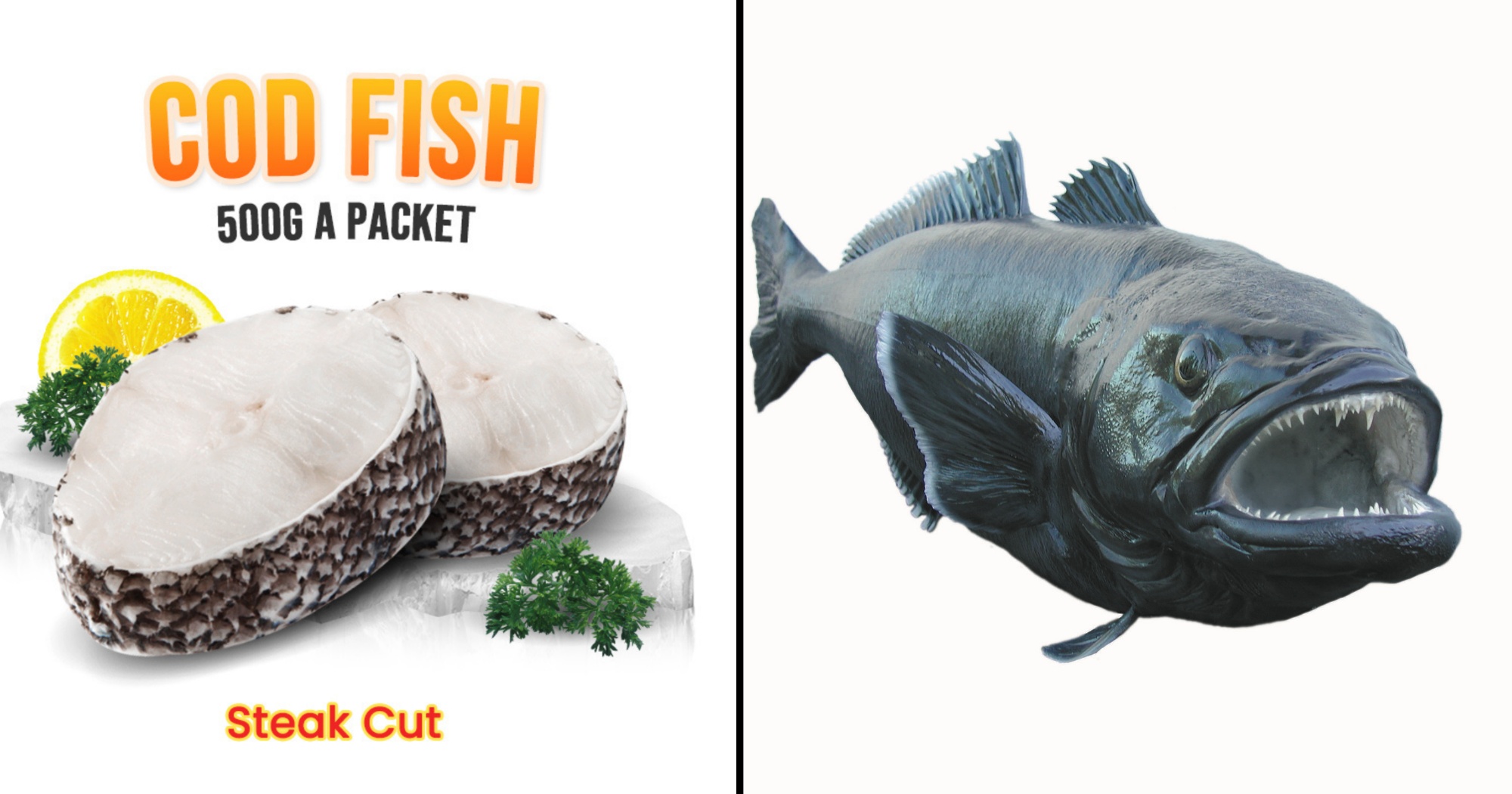 Cod vs Sea Bass: Contrasting Two Popular Fish Varieties